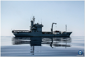 The German ship “Werra”saves migrants in danger